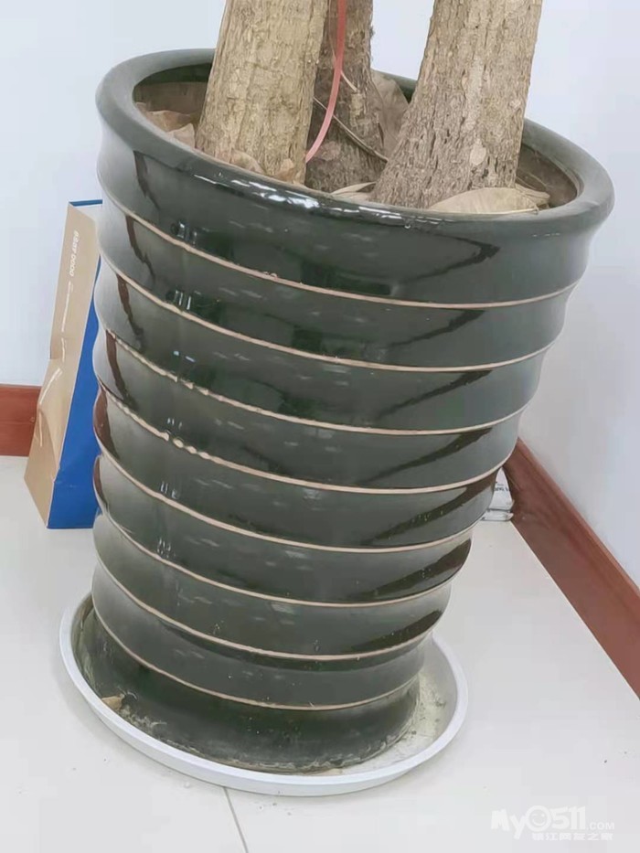 出售大花盆一个