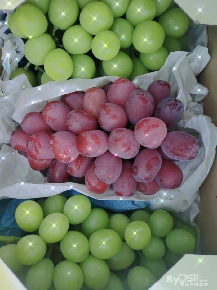 2021年新鲜出炉,江心洲葡萄