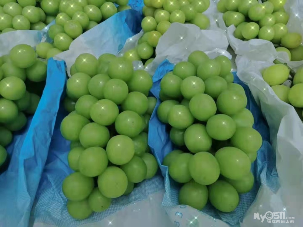 2021年新鲜出炉,江心洲葡萄