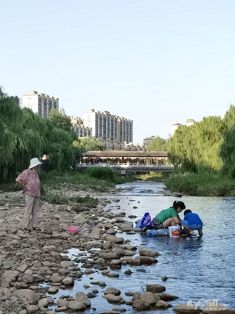 下午下河抓鱼