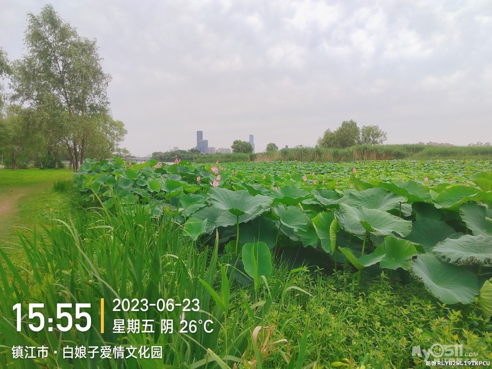 qn_1687515287659556_907rs.jpg