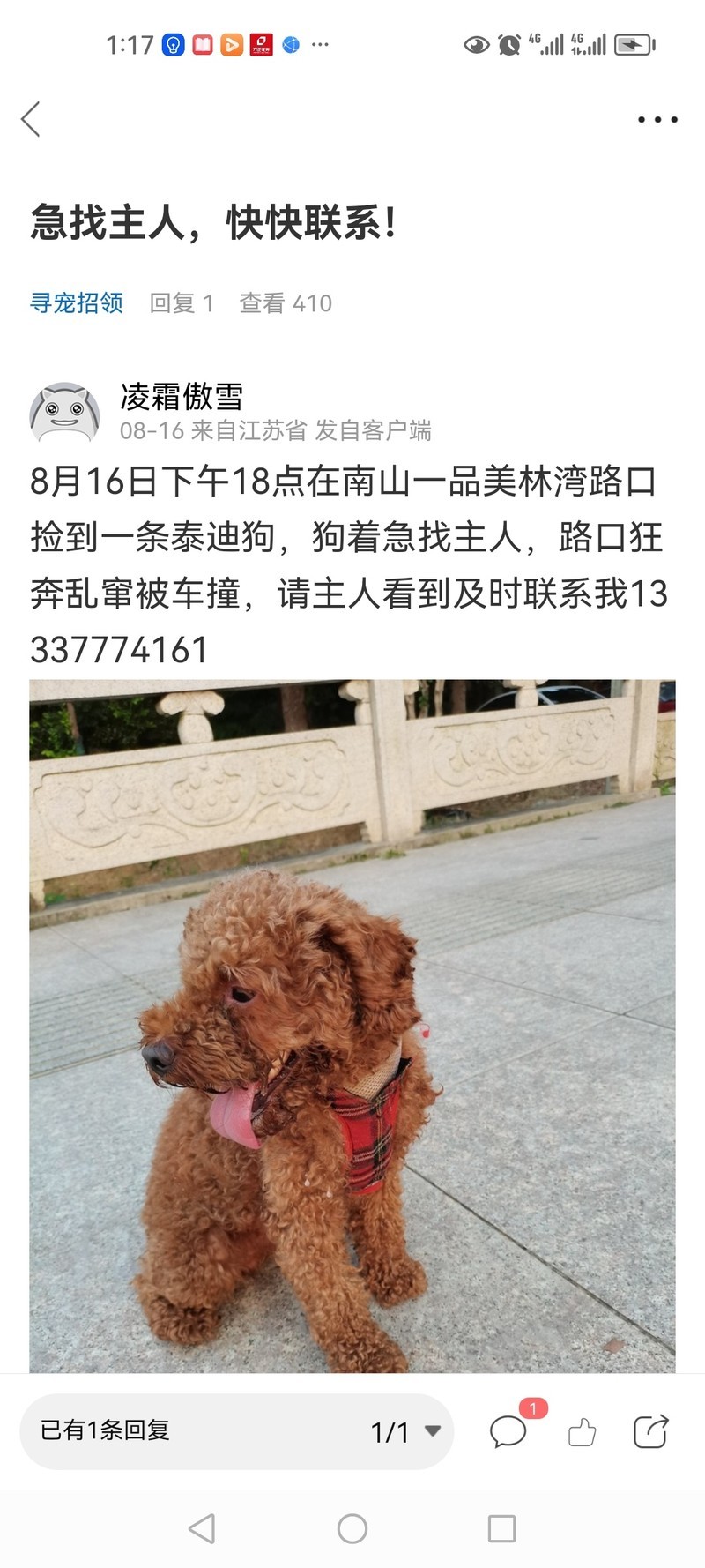 寻找两只泰迪主人 猫狗总动员 梦溪论坛 镇江时事招聘求职社区房产装修美食摄影 汽车摄影运动女性征婚 1578